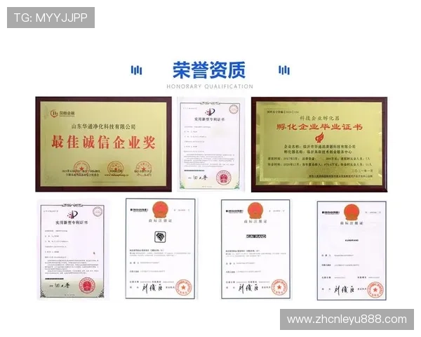 leyu乐鱼官方入口技术支持，提供全天候安全稳定的登录服务体验