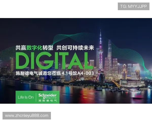 乐投体育公司推动体育产业数字化转型的实践与成效分析