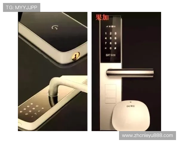 乐鱼平台app下载安装后如何快速上手使用的全面指南与你分享