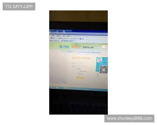 乐鱼平台网站登录页面常见问题分析与解决技巧总结