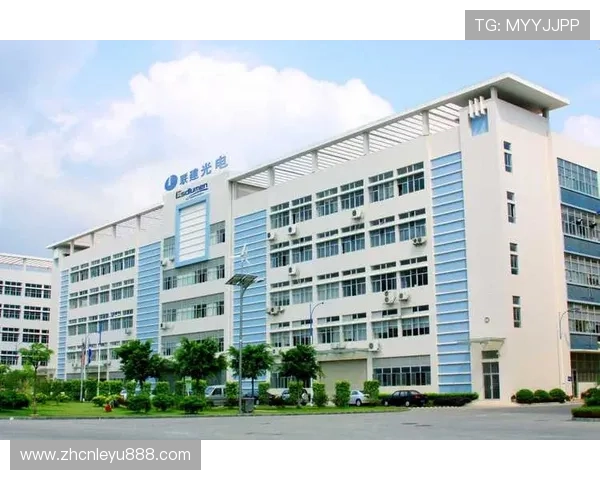 乐鱼电子官网首页产品类别详细分类及购买流程介绍