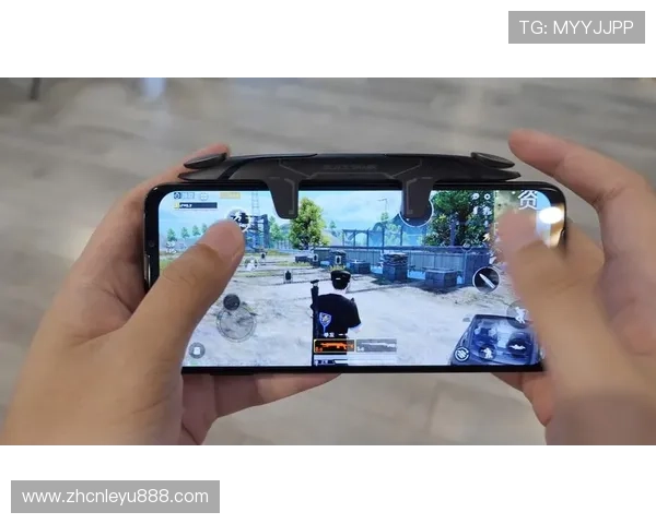 乐鱼官方网站在线登录入口最新指南帮助玩家顺利进入游戏体验全流程解析