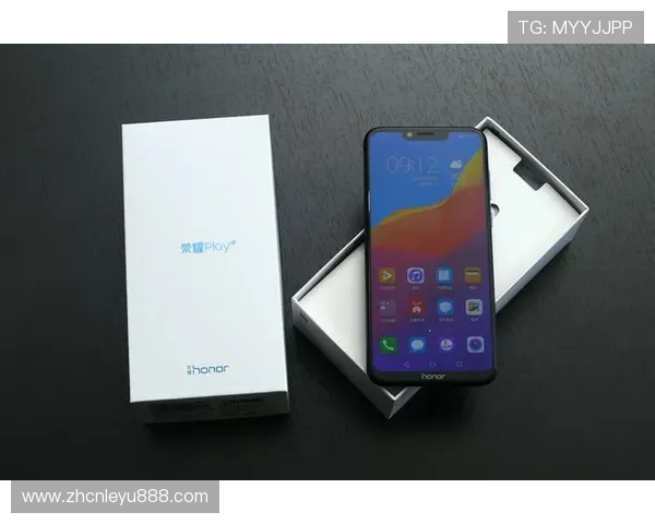 乐鱼开户攻略全方位指导助你顺利完成注册流程享受优质游戏体验