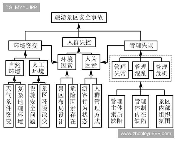 乐鱼手机版会员登录安全性分析保障个人信息安全的实用技巧与建议