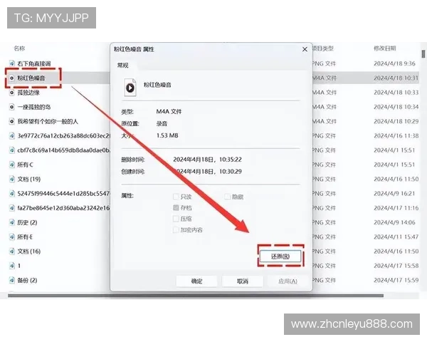 乐鱼竞猜登录遇到问题怎么办？详细解决方案帮助你快速恢复正常使用