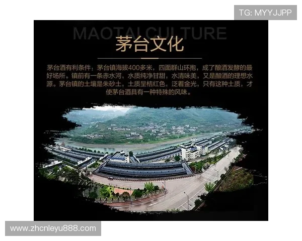 飞天体育网:飞天体育网在体育产业链中的角色与合作伙伴关系分析 飞天体育网:飞天体育网在体育产业链中的角色与合作伙伴关系分析